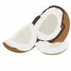 The Flavor Apprentice Coconut 