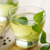 The Flavor Apprentice Green Tea
