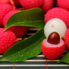 The Flavor Apprentice Lychee