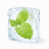 The Flavor Apprentice Menthol Liquid (PG)