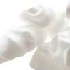 The Flavor Apprentice Meringue
