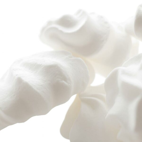 The Flavor Apprentice Meringue