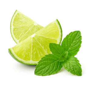 The Flavor Apprentice Mojito Havana Flavor