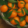 The Flavor Apprentice Orange Mandarin