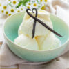 The Flavor Apprentice Vanilla Bean Gelato