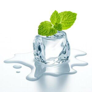 The Flavor Apprentice Wintergreen Essens