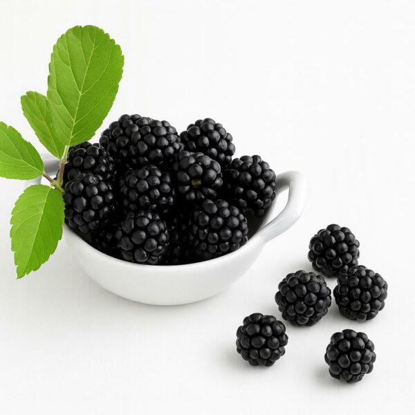 The Flavor Apprentice Boysenberry Deluxe