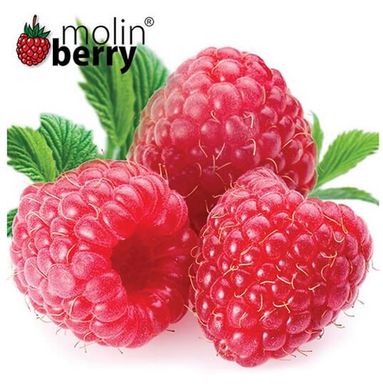Molinberry Pink Raspberry