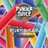 Pukka Bar Disposable Vape Pod 600 puff 20mg
