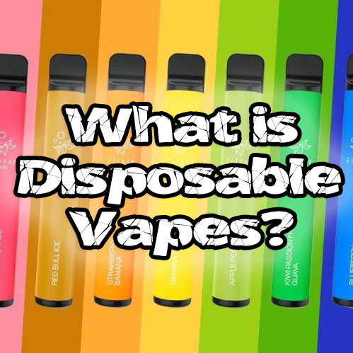 what-is-disposable-vapes-1